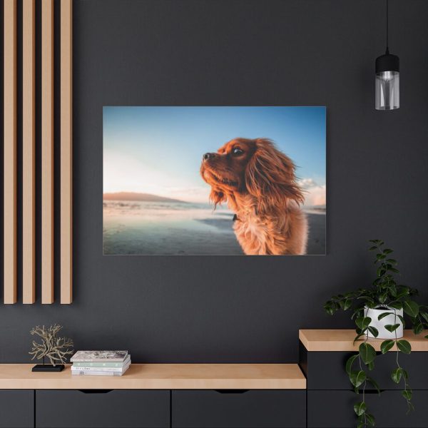 91638-198.jpg Brown Puppy on the Beach Standard Canvas