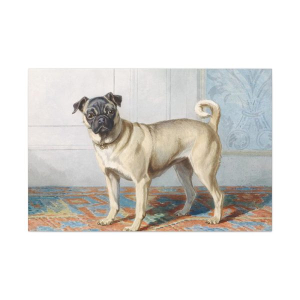 Portrait of Edwin Vom Rath’s Pug by Conradijn Cunaeus Standard Canvas