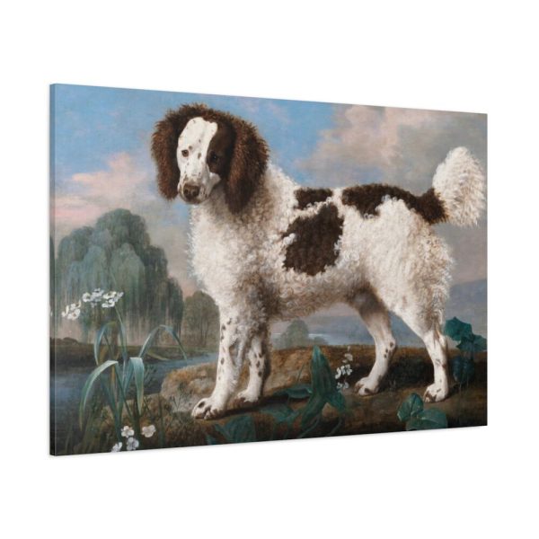 91638-210.jpg Brown and White Norfolk or Water Spaniel by George Stubbs Standard Canvas