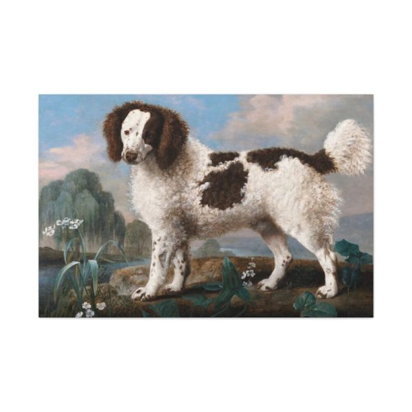 91638-211.jpg Brown and White Norfolk or Water Spaniel by George Stubbs Standard Canvas