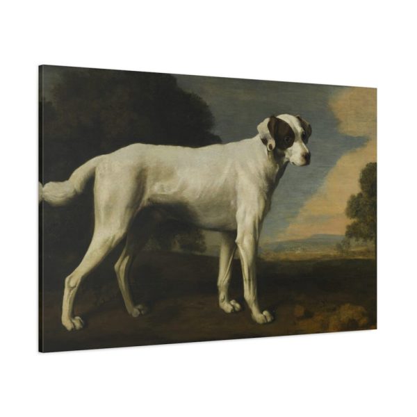 91638-220.jpg White Dog Painting By George Stubbs Standard Canvas
