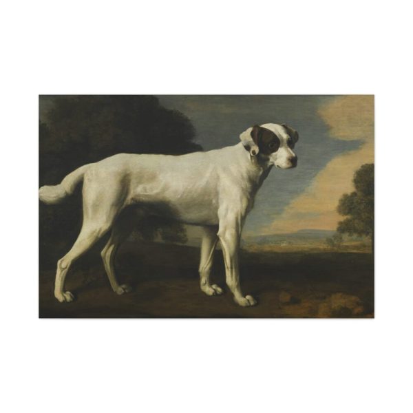 91638-221.jpg White Dog Painting By George Stubbs Standard Canvas