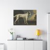 91638-222.jpg White Dog Painting By George Stubbs Standard Canvas