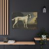 91638-223.jpg White Dog Painting By George Stubbs Standard Canvas