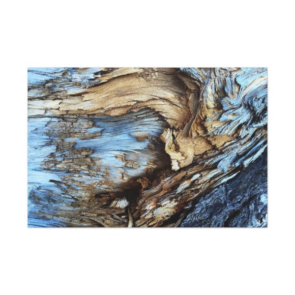 91638-286.jpg Abstract Texture in Light Brown and Blue Standard Canvas