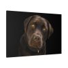 91638-330.jpg Labrador Retriever Standard Canvas