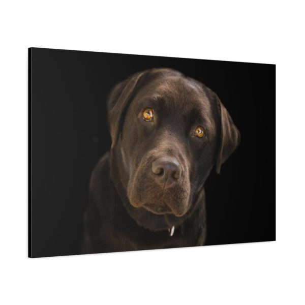 91638-330.jpg Labrador Retriever Standard Canvas