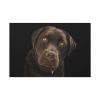 91638-331.jpg Labrador Retriever Standard Canvas