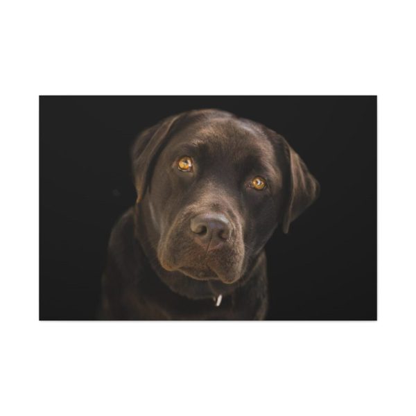 91638-331.jpg Labrador Retriever Standard Canvas