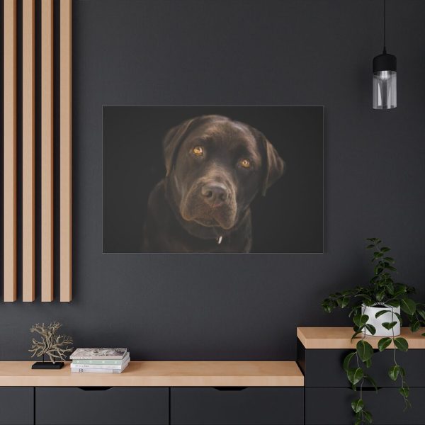 91638-333.jpg Labrador Retriever Standard Canvas