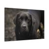 91638-335.jpg Black Labrador Retriever Standard Canvas