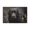 91638-336.jpg Black Labrador Retriever Standard Canvas