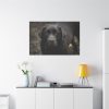 91638-337.jpg Black Labrador Retriever Standard Canvas