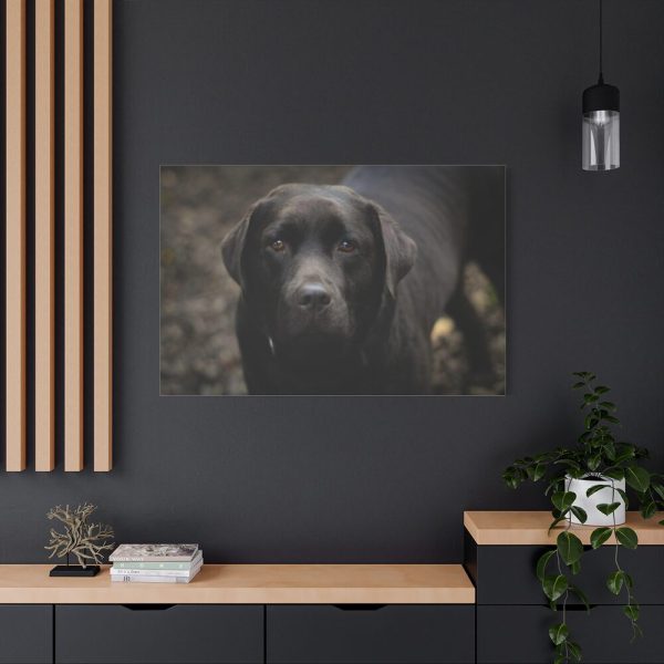 91638-338.jpg Black Labrador Retriever Standard Canvas