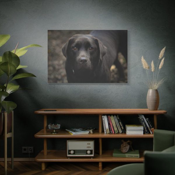 91638-339.jpg Black Labrador Retriever Standard Canvas