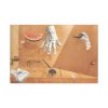Feather Equilibrium by Salvador Dali Standard Canvas