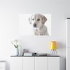 91638-357.jpg White Labrador Retriever Standard Canvas