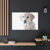 91638-358.jpg White Labrador Retriever Standard Canvas