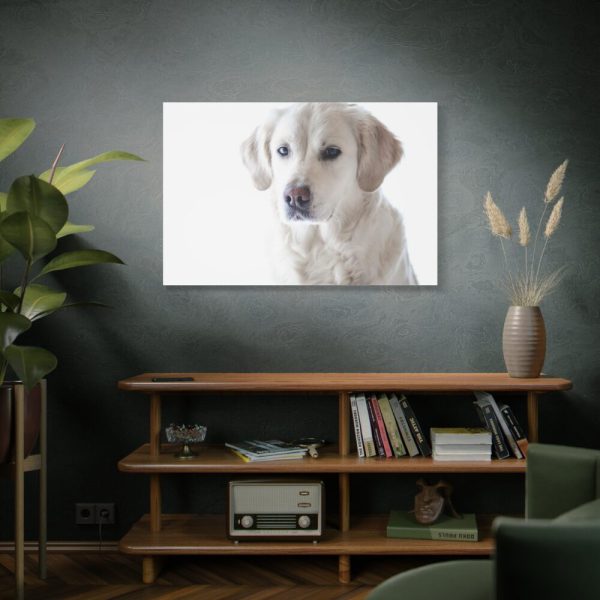 91638-359.jpg White Labrador Retriever Standard Canvas
