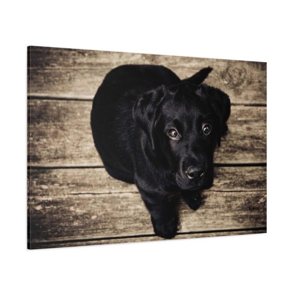 91638-360.jpg Black Labrador Dog Sitting on Wooden Floor Standard Canvas