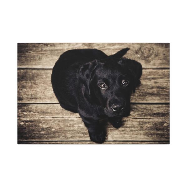 91638-361.jpg Black Labrador Dog Sitting on Wooden Floor Standard Canvas