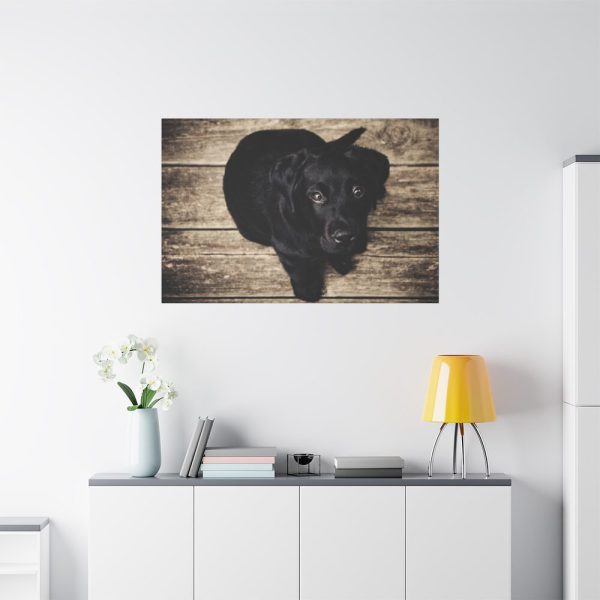 91638-362.jpg Black Labrador Dog Sitting on Wooden Floor Standard Canvas