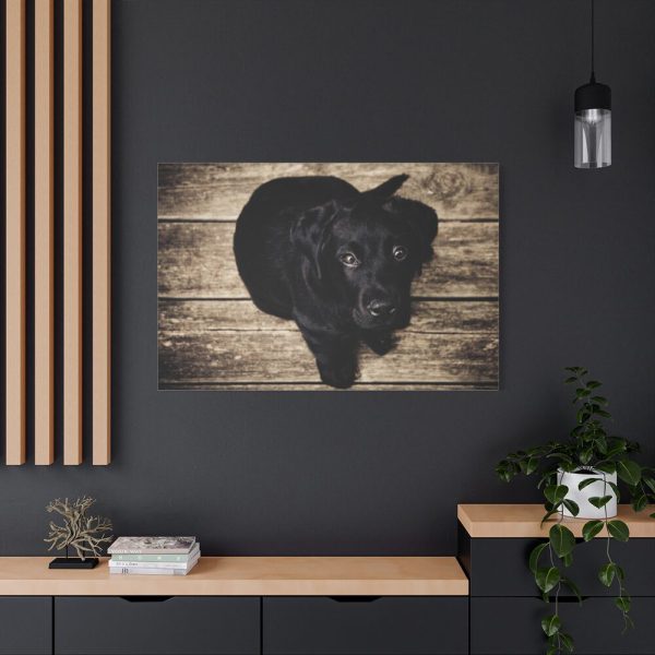 91638-363.jpg Black Labrador Dog Sitting on Wooden Floor Standard Canvas