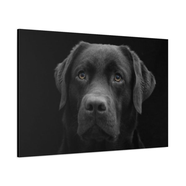 91638-365.jpg Black Dog Face Close Up Standard Canvas