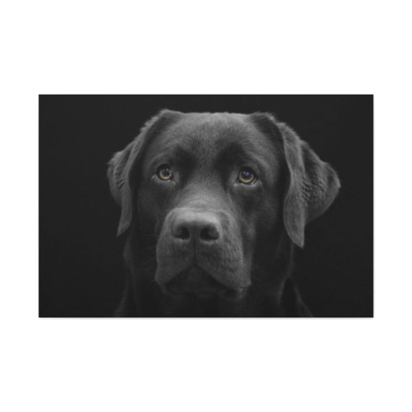 91638-366.jpg Black Dog Face Close Up Standard Canvas