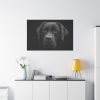 91638-367.jpg Black Dog Face Close Up Standard Canvas