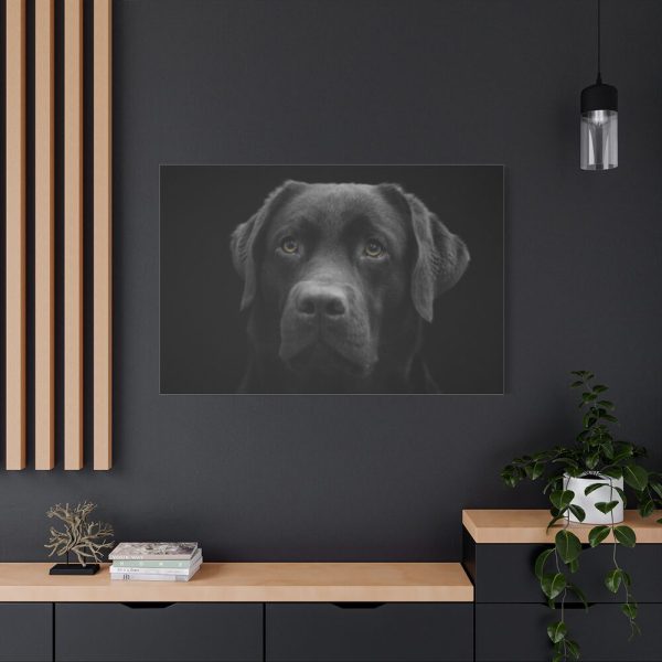 91638-368.jpg Black Dog Face Close Up Standard Canvas