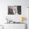 91638-432.jpg White Bengal Tiger Standard Canvas