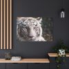 91638-433.jpg White Bengal Tiger Standard Canvas