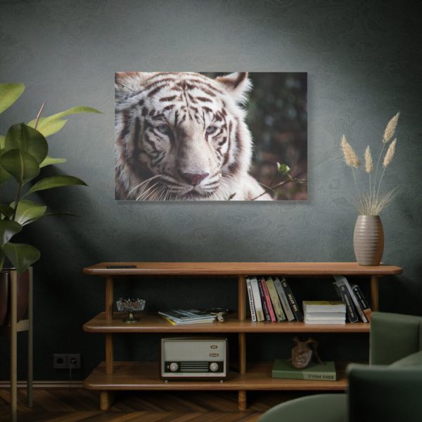 91638-434.jpg White Bengal Tiger Standard Canvas