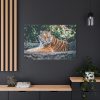 91638-443.jpg Tiger Sitting on Rock Standard Canvas