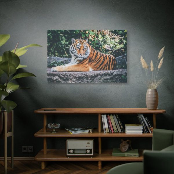 91638-444.jpg Tiger Sitting on Rock Standard Canvas