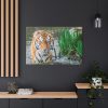 91638-448.jpg Tiger Walking Standard Canvas
