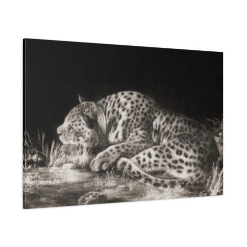 A Tyger Sleeping Cheeth by George Stubbs Standard Canvas