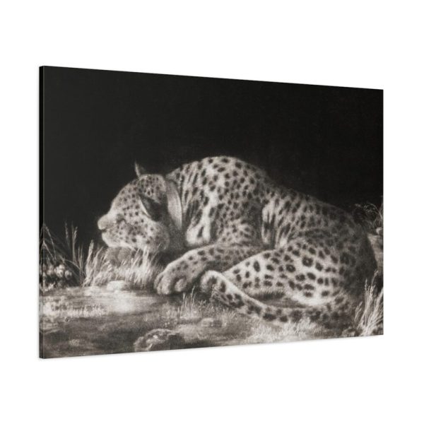 91638-470.jpg A Tyger Sleeping Cheeth by George Stubbs Standard Canvas