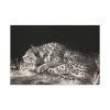 91638-471.jpg A Tyger Sleeping Cheeth by George Stubbs Standard Canvas
