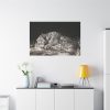 91638-472.jpg A Tyger Sleeping Cheeth by George Stubbs Standard Canvas