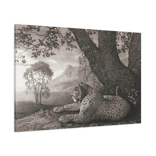 A Tyger by George Stubbs Standard Canvas