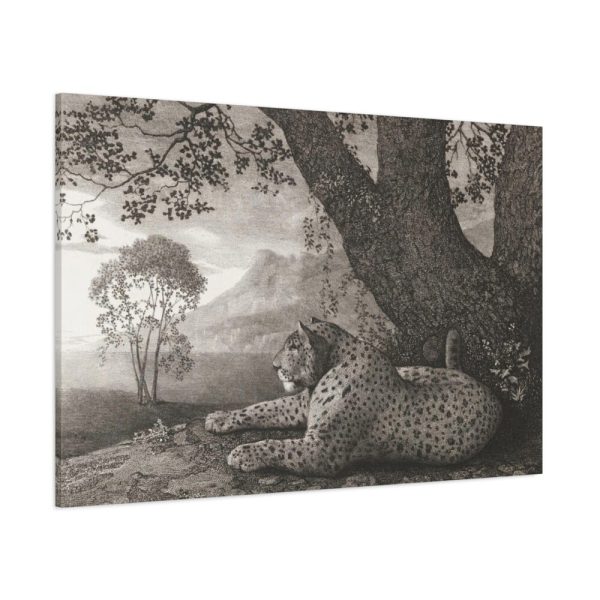 91638-485.jpg A Tyger by George Stubbs Standard Canvas