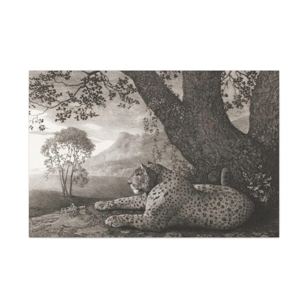 91638-486.jpg A Tyger by George Stubbs Standard Canvas