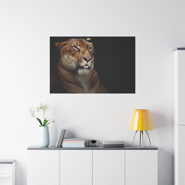 Hercules Standard Canvas