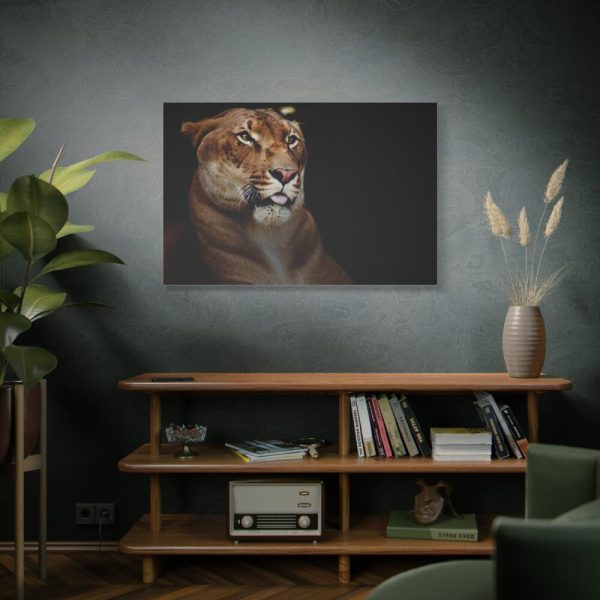 Hercules Standard Canvas