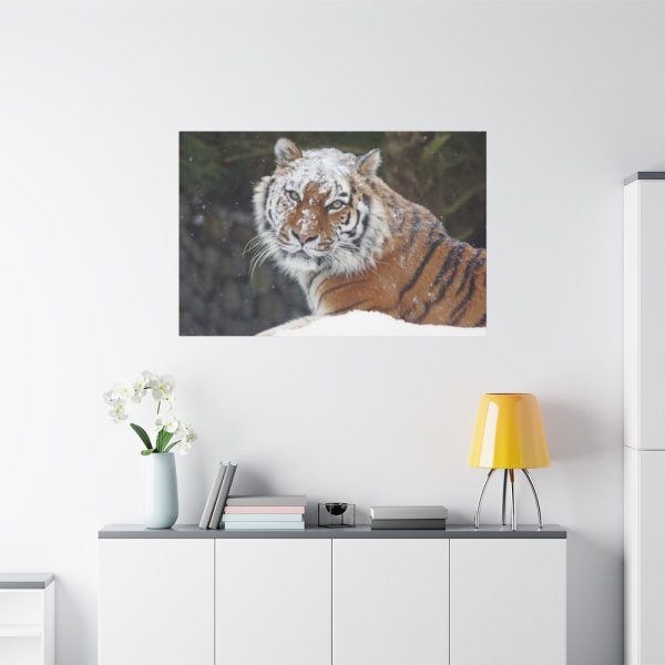 91638-497.jpg Free Siberian Tiger Standard Canvas