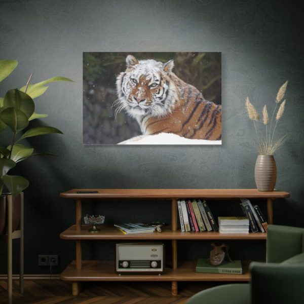 91638-499.jpg Free Siberian Tiger Standard Canvas