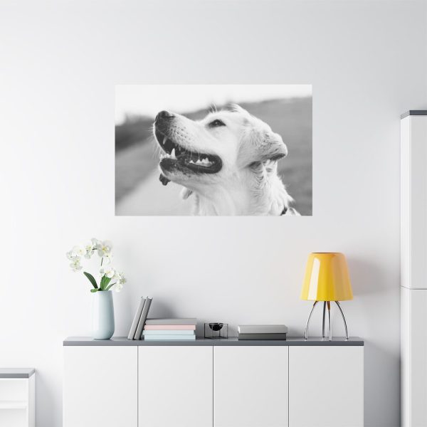91638-502.jpg Labrador Retriever Dog in Black and White Standard Canvas