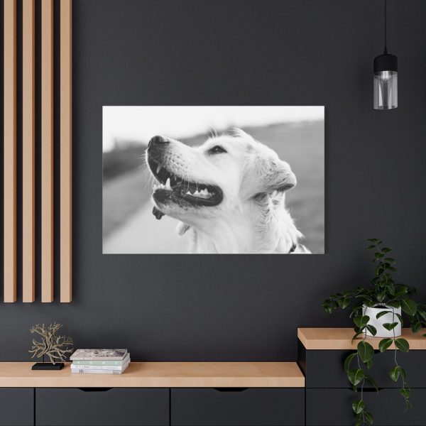 91638-503.jpg Labrador Retriever Dog in Black and White Standard Canvas